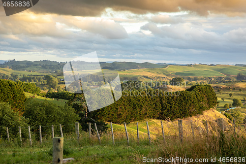 Image of typical rural landscape in New Zealand