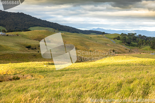 Image of typical rural landscape in New Zealand