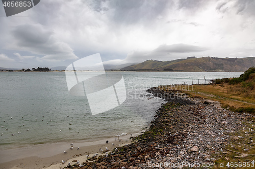 Image of landscape at Taiaroa Head New Zealand