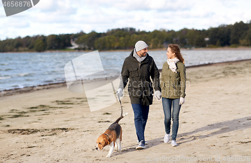 Image of couple with beagle dog walking along autumn beach