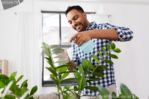 Image of man spraying houseplant with water at home