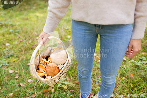 Image of close up of woman picking mushrooms in forest