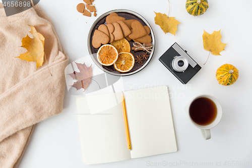 Image of notebook, hot chocolate, camera and autumn leaves