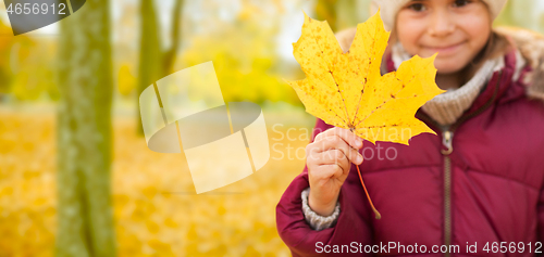 Image of close up of little girl with maple leaf in autumn