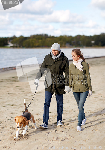 Image of couple with beagle dog walking along autumn beach