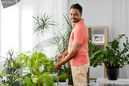 Image of indian man taking care of houseplants at home