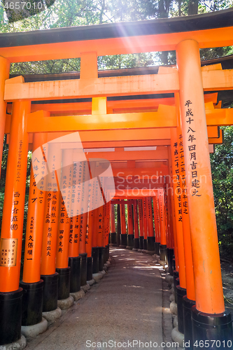 Image of Fushimi Inari Taisha torii, Kyoto, Japan