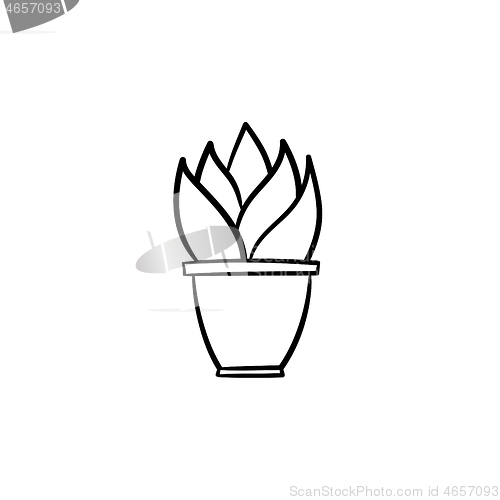 Image of Sansevieria trifasciata hand drawn sketch icon.