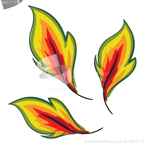 Image of Clipart of yellow autumn leaves vector or color illustration