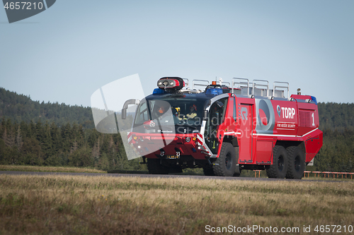 Image of Fire Fighters