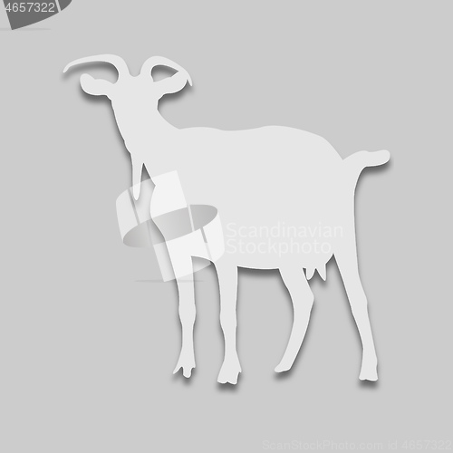 Image of animal goat in bright tone