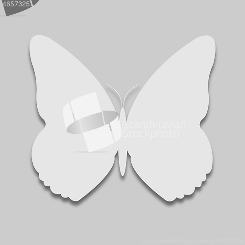 Image of Butterfly in a light tone