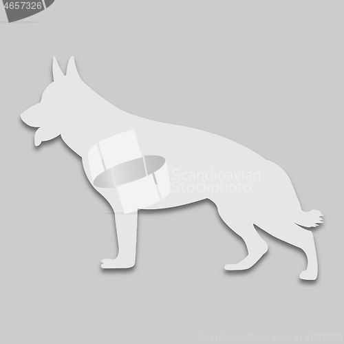 Image of dog shepherd in a light tone