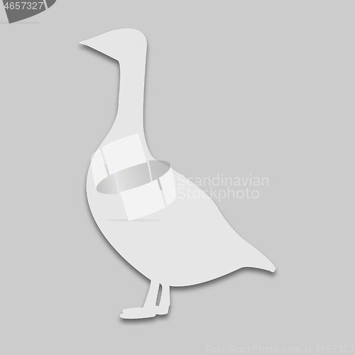 Image of goose bird in bright tone