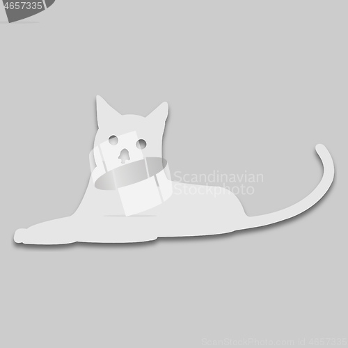 Image of domestic cat in bright tone