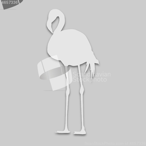 Image of flamingo bird in bright colors