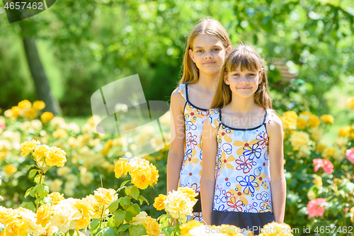Image of Two girls stand in a beautiful flower garden of roses