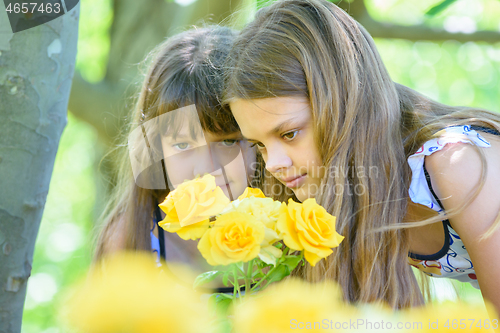 Image of Children examine beautiful yellow roses in the park