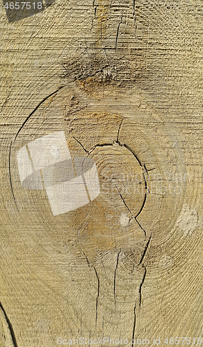 Image of Old weathered wooden texture with rings and cracks