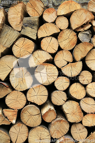 Image of Firewood pile stacked chopped wood trunks