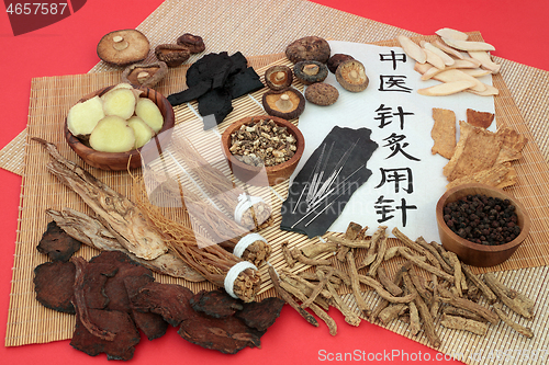 Image of Acupuncture Needles used in Traditional Chinese Medicine