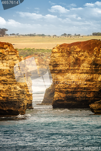 Image of rough coast at the Great Ocean Road Australia