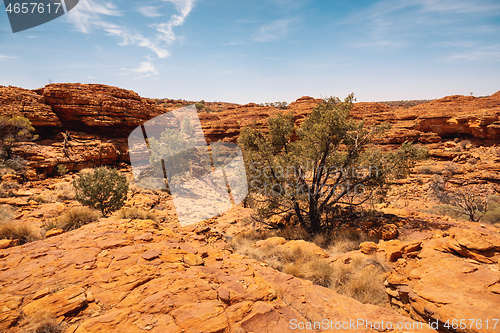 Image of Kings Canyon in center Australia