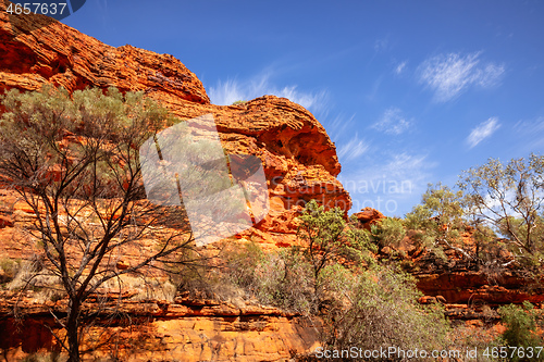 Image of Kings Canyon in center Australia