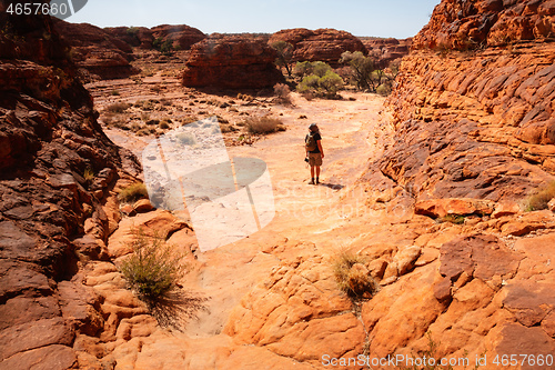 Image of Kings Canyon in center Australia