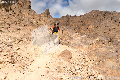 Image of Trekking in Negev dramatic stone desert, Israel 