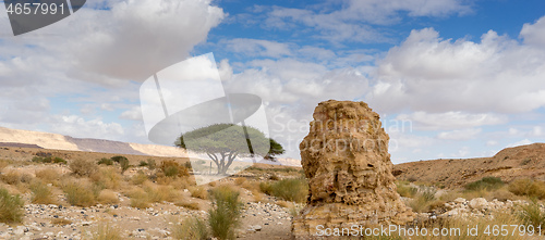 Image of Trekking in Negev dramatic stone desert, Israel 