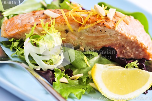Image of Salad with grilled salmon