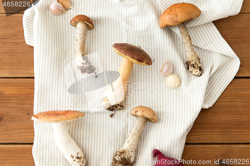 Image of different edible mushrooms on kitchen towel