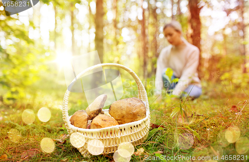 Image of basket of mushrooms and woman in autumn forest