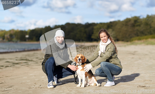 Image of happy couple with beagle dog on autumn beach