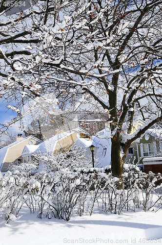 Image of Winter street