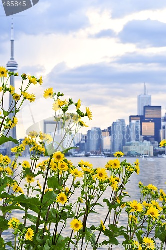 Image of Toronto skyline