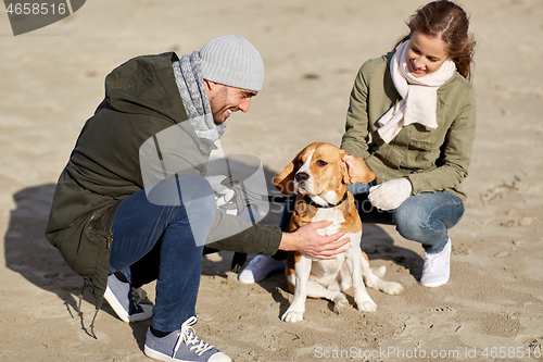 Image of happy couple with beagle dog on autumn beach