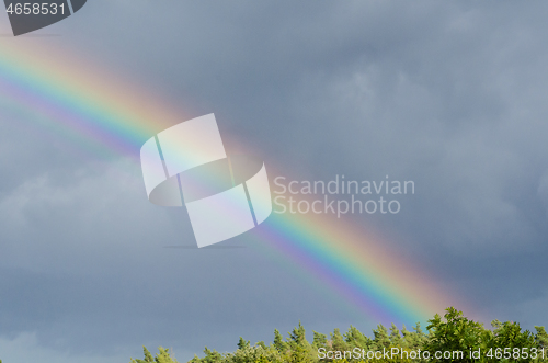 Image of Rainbow above some green tree tops