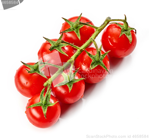 Image of fresh wet tomatoes