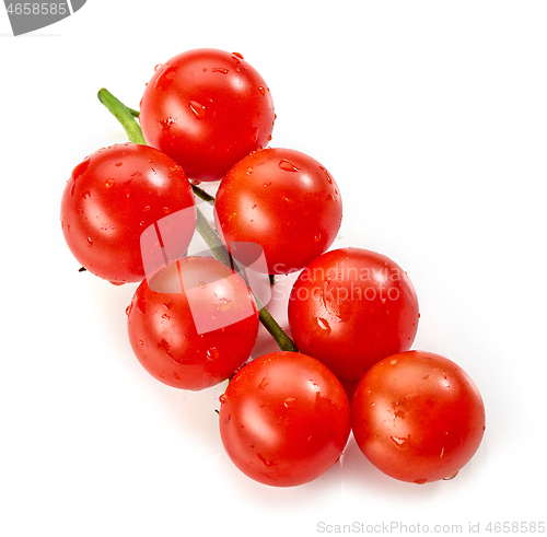 Image of fresh wet tomatoes