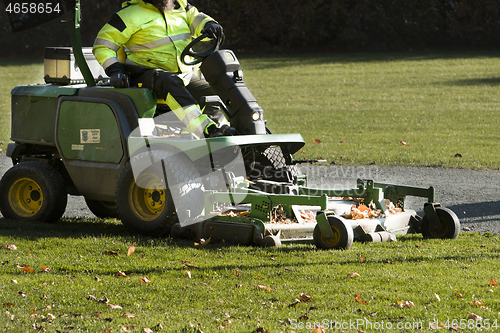 Image of Park Cleaning