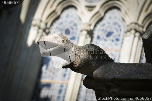 Image of 