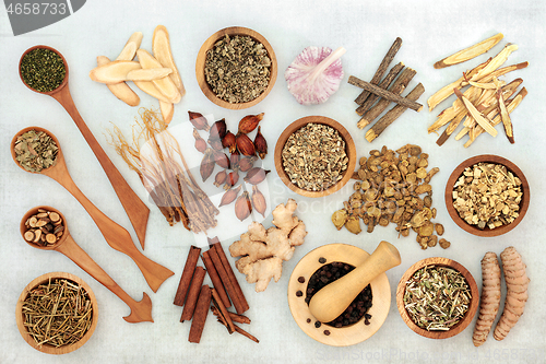 Image of Herbs and Spice to Relieve Asthma