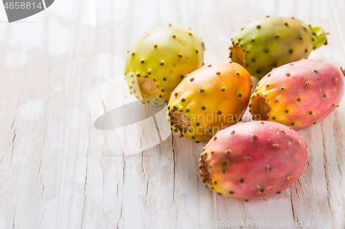 Image of Prickly pear