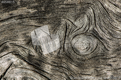 Image of Old tree trunk, abstract background