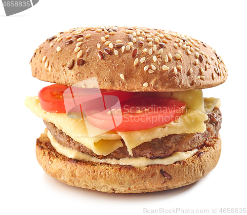 Image of fresh tasty cheeseburger