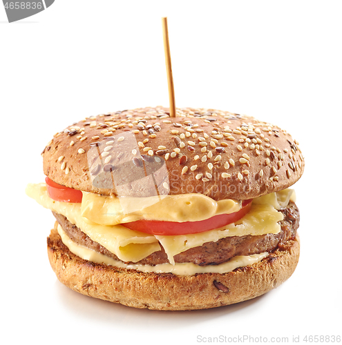 Image of fresh tasty cheeseburger