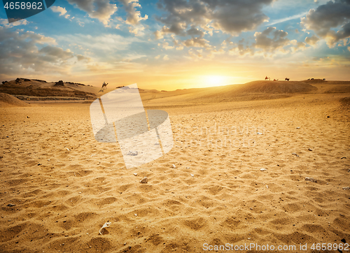 Image of Sandy desert in Egypt