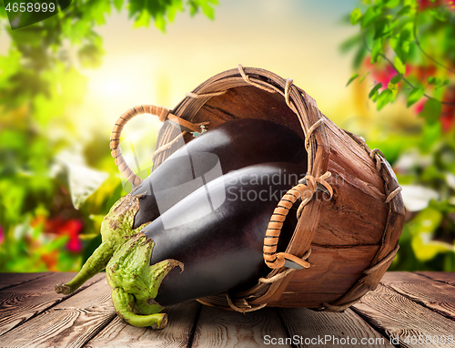 Image of Eggplants in a basket